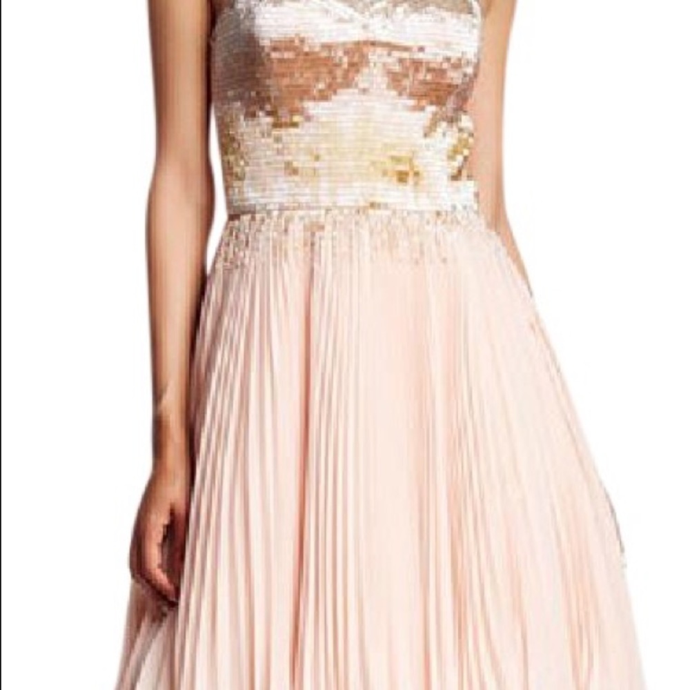NWT Ted Baker Homecoming Dress Pink